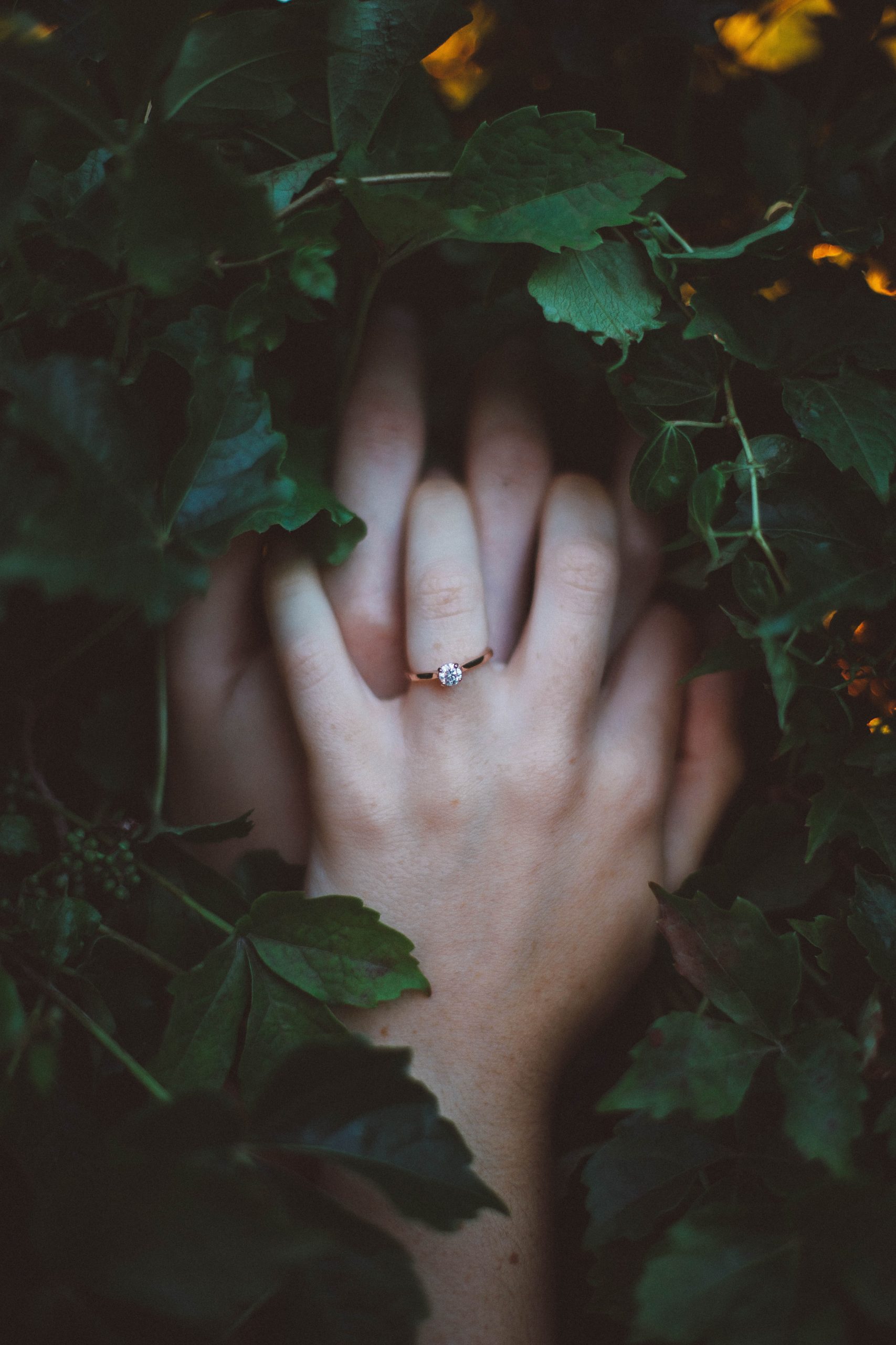 wedding-rings