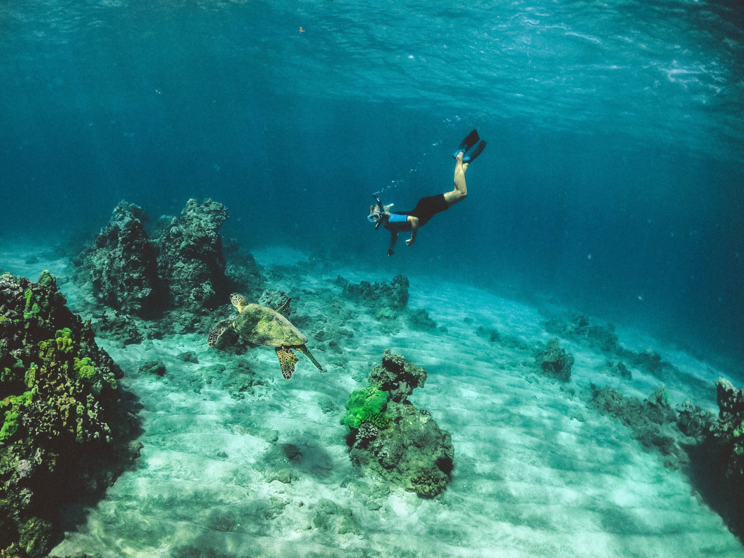 scuba-diving-Kareta