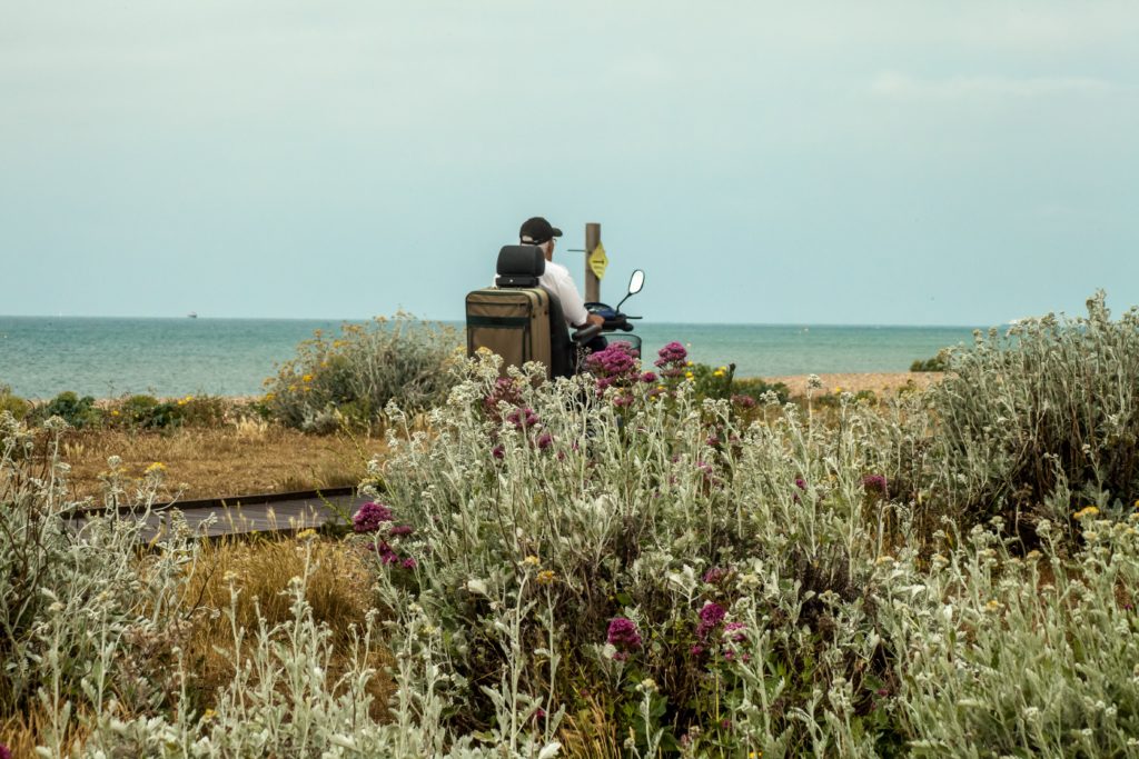 wheelchair-travel-nature